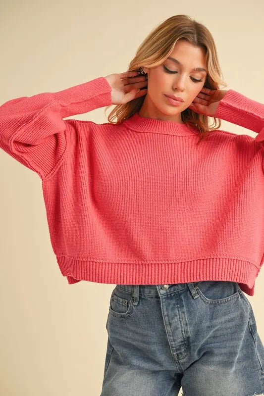 Aemi+Co Ribbed Hem Exposed Seam Round Neck Sweater - Brittney MADE