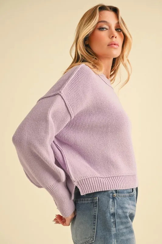 Aemi+Co Ribbed Hem Exposed Seam Round Neck Sweater - Brittney MADE