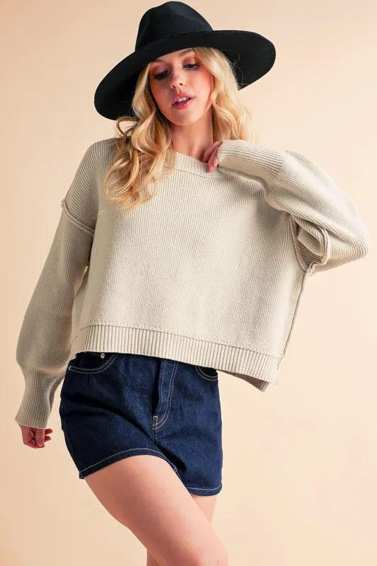 Aemi+Co Ribbed Hem Exposed Seam Round Neck Sweater - Brittney MADE